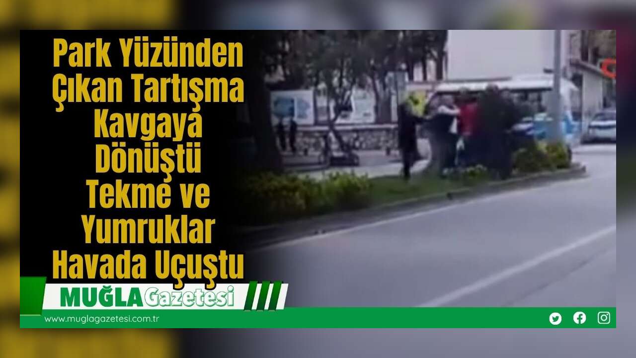 Park Yüzünden Çıkan Tartışma Kavgaya Dönüştü: Tekme ve Yumruklar Havada Uçuştu