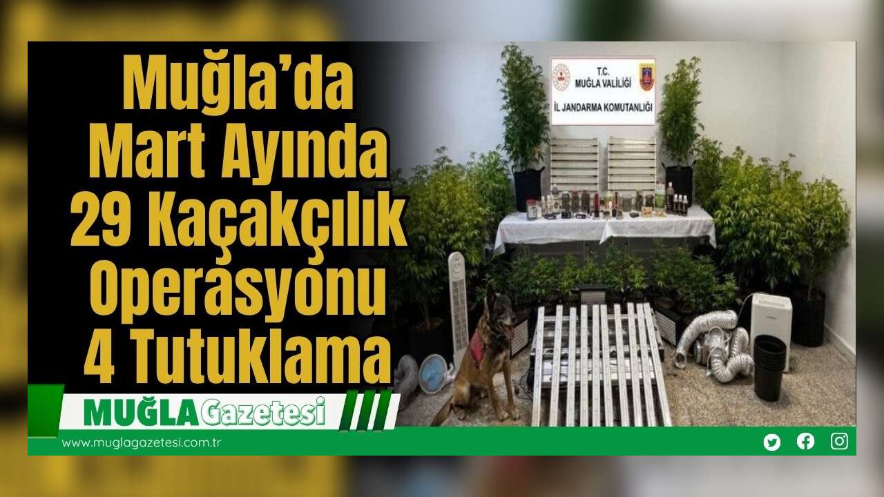 Muğla’da Mart Ayında 29 Kaçakçılık Operasyonu: 4 Tutuklama