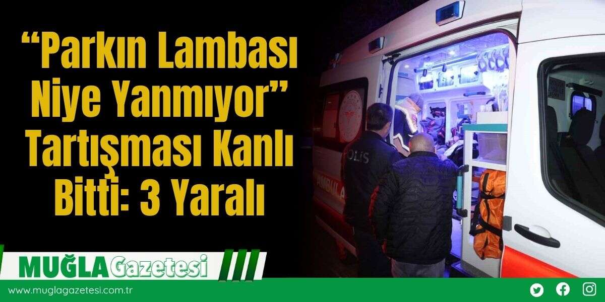 “Parkın Lambası Niye Yanmıyor” Tartışması K*nlı Bitti: 3 Yaralı
