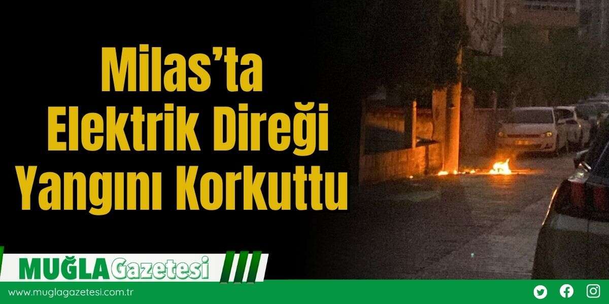 Milas’ta Elektrik Direği Yangını Korkuttu