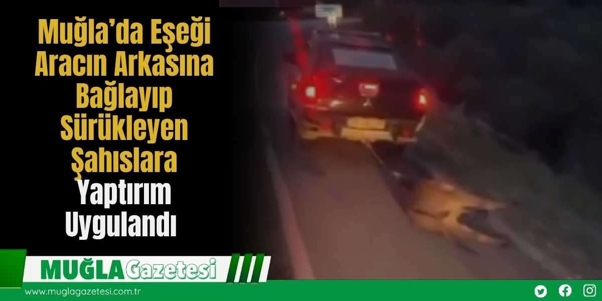 Muğla’da Eşeği Aracın Arkasına Bağlayıp Sürükleyen Şahıslara Yaptırım Uygulandı