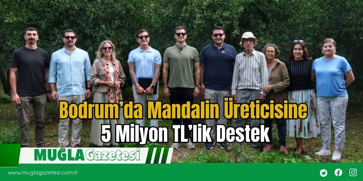 Bodrum’da Mandalin Üreticisine 5 Milyon TL’lik Destek