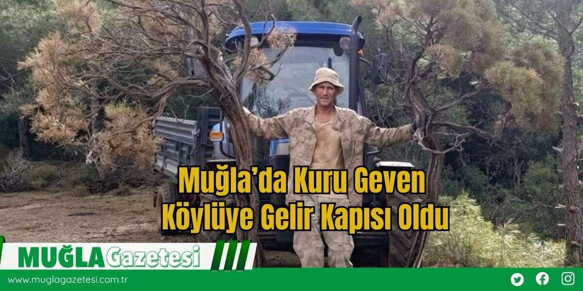 Muğla’da Kuru Geven Köylüye Gelir Kapısı Oldu