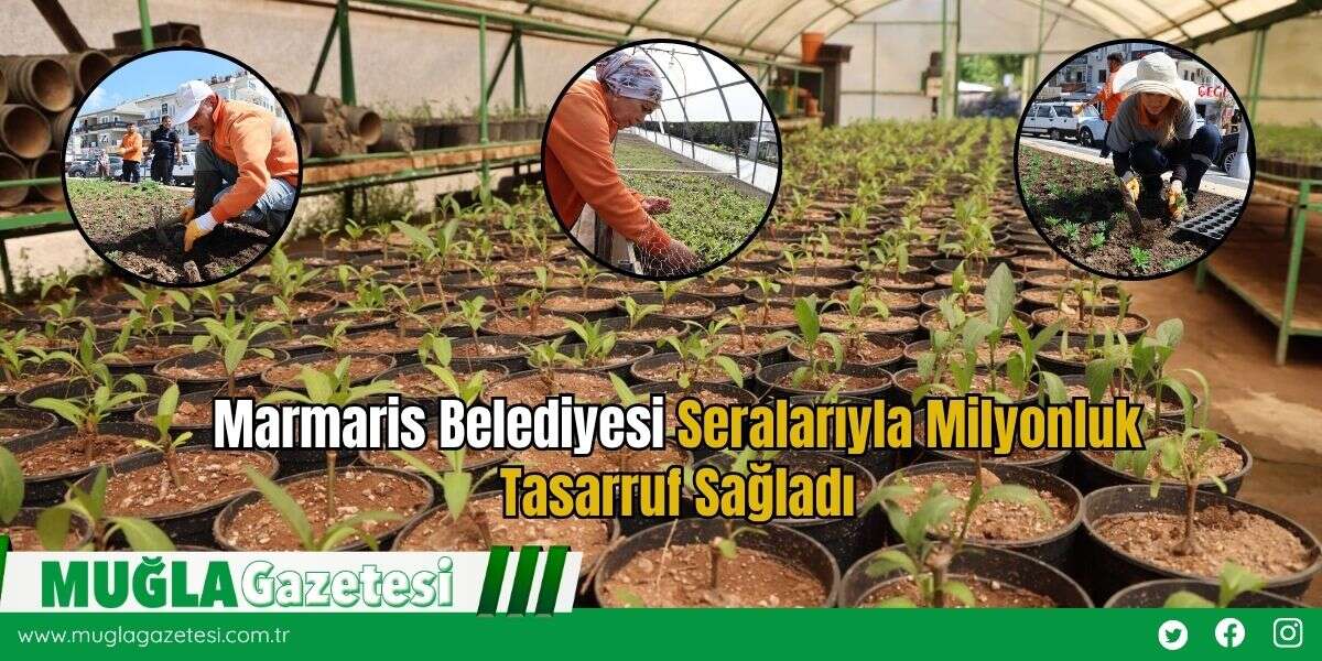 Marmaris Belediyesi Seralarıyla Milyonluk Tasarruf Sağladı