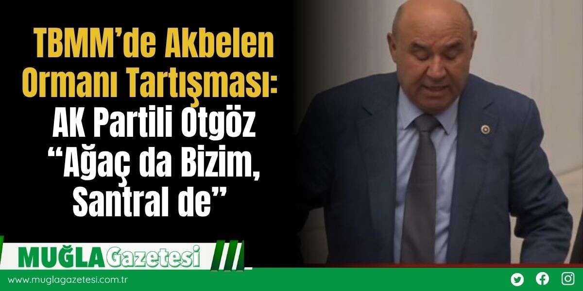TBMM’de Akbelen Ormanı Tartışması: AK Partili Otgöz “Ağaç da Bizim, Santral de”