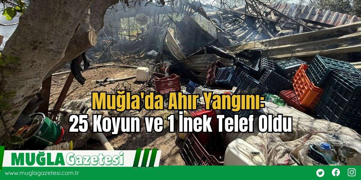 Muğla'da Ahır Yangını: 25 Koyun ve 1 İnek Telef Oldu