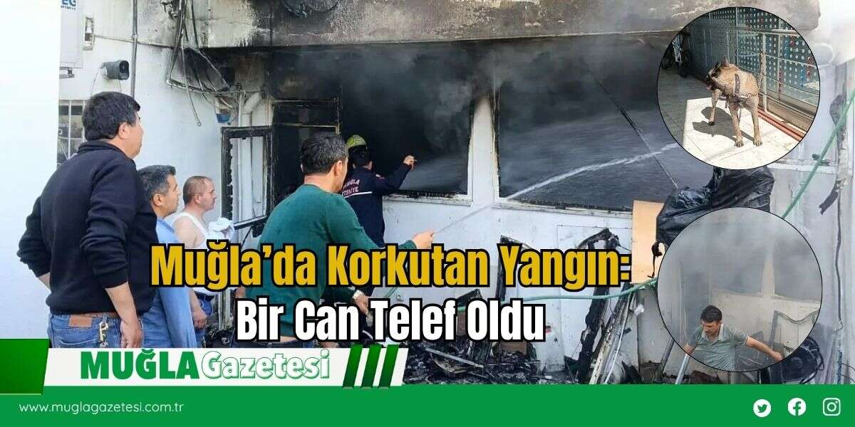 Muğla’da Korkutan Yangın: Bir Can Telef Oldu
