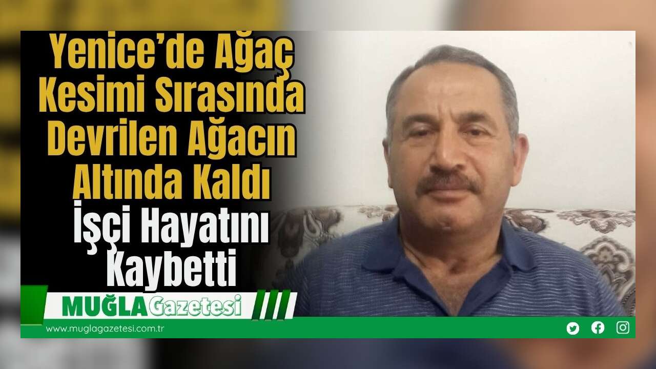 Yenice’de Ağaç Kesimi Sırasında Devrilen Ağacın Altında Kaldı: İşçi Hayatını Kaybetti
