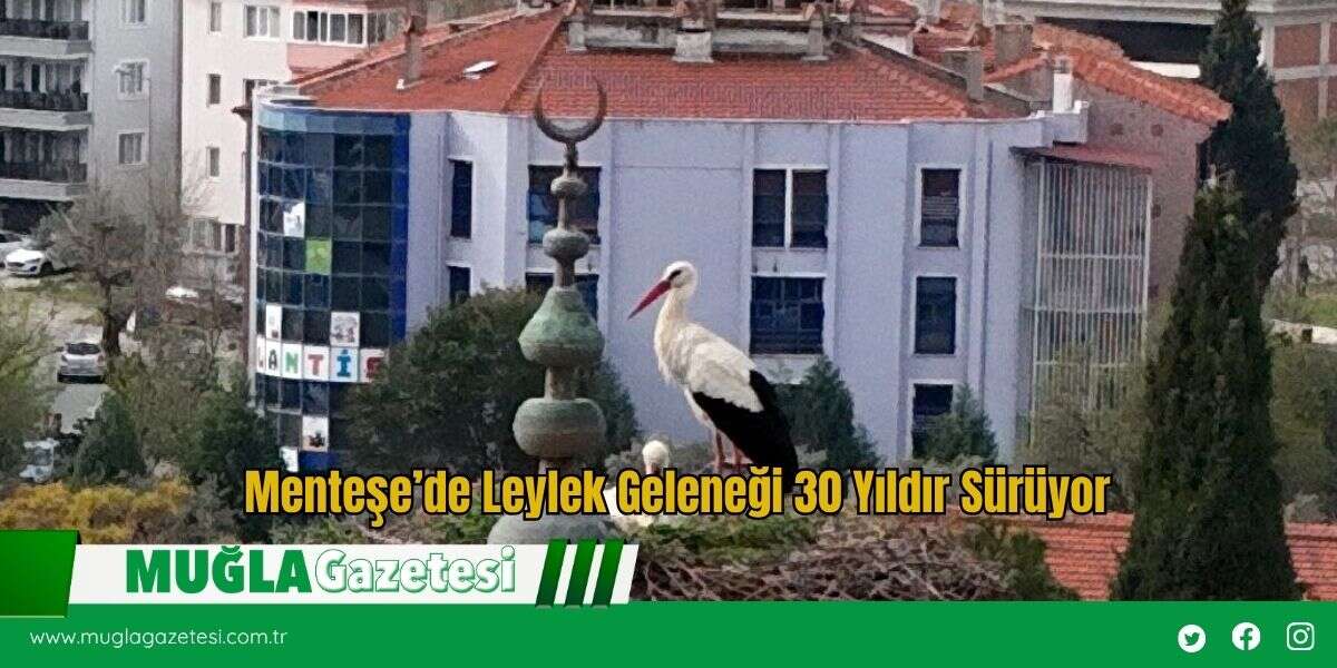 Menteşe’de Leylek Geleneği 30 Yıldır Sürüyor