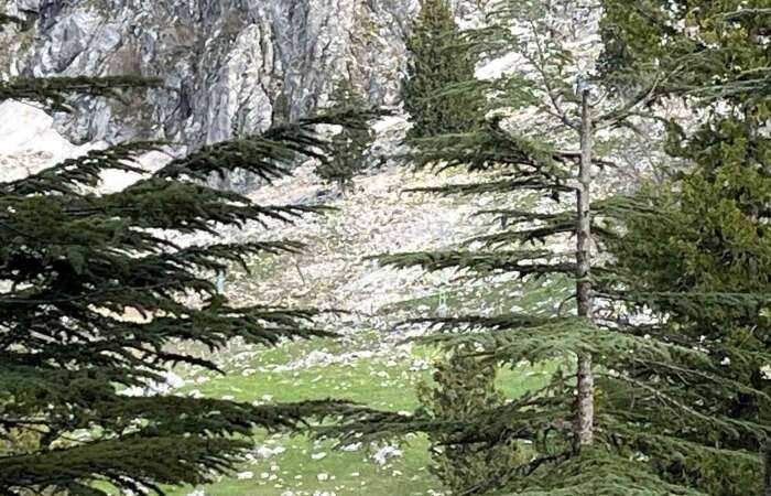 Kayalıklardan Düşen Adam Hayatını Kaybetti