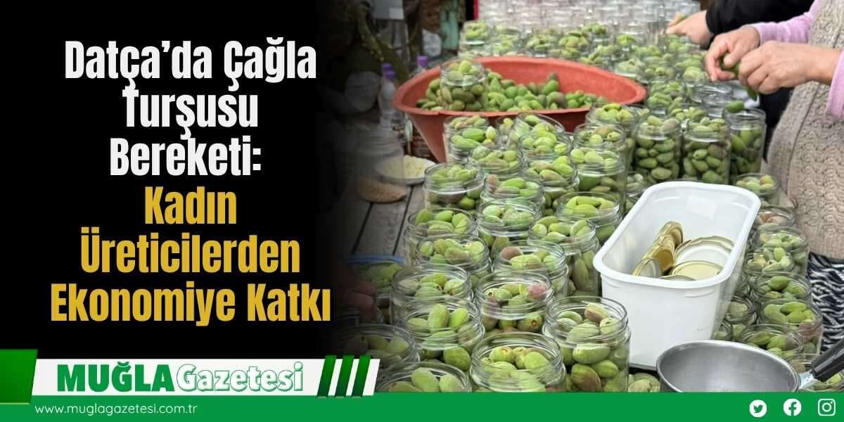 Datça’da Çağla Turşusu Bereketi: Kadın Üreticilerden Ekonomiye Katkı