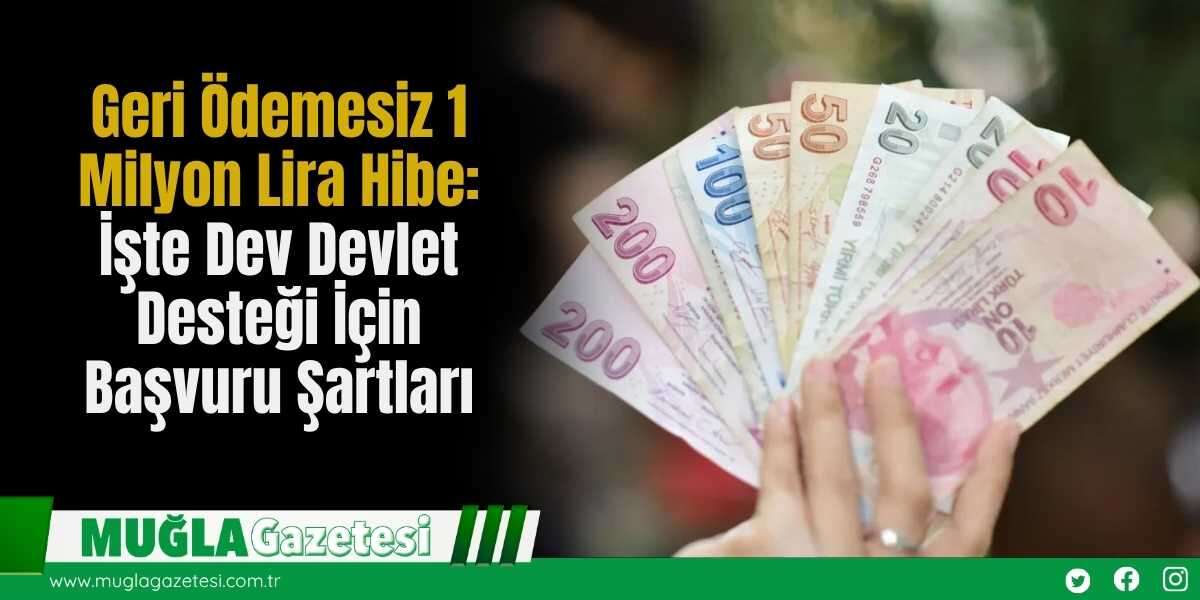 Geri Ödemesiz 1 Milyon Lira Hibe: İşte Dev Devlet Desteği İçin Başvuru Şartları