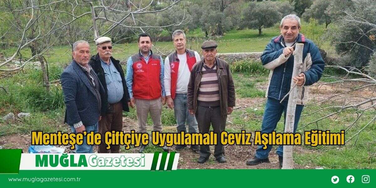 Menteşe’de Çiftçiye Uygulamalı Ceviz Aşılama Eğitimi