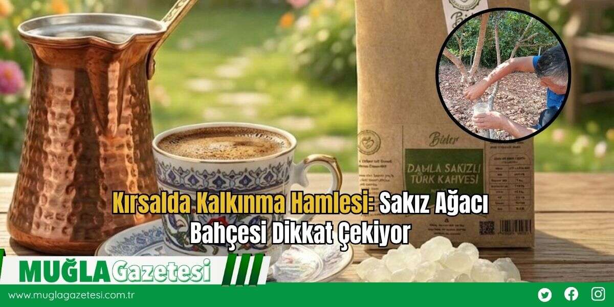 Kırsalda Kalkınma Hamlesi: Sakız Ağacı Bahçesi Dikkat Çekiyor