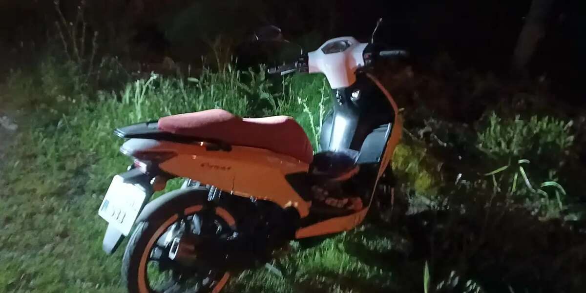 Muğla'da Domuz Kazaya Neden Oldu, Sürücü Hastaneye Kaldırıldı