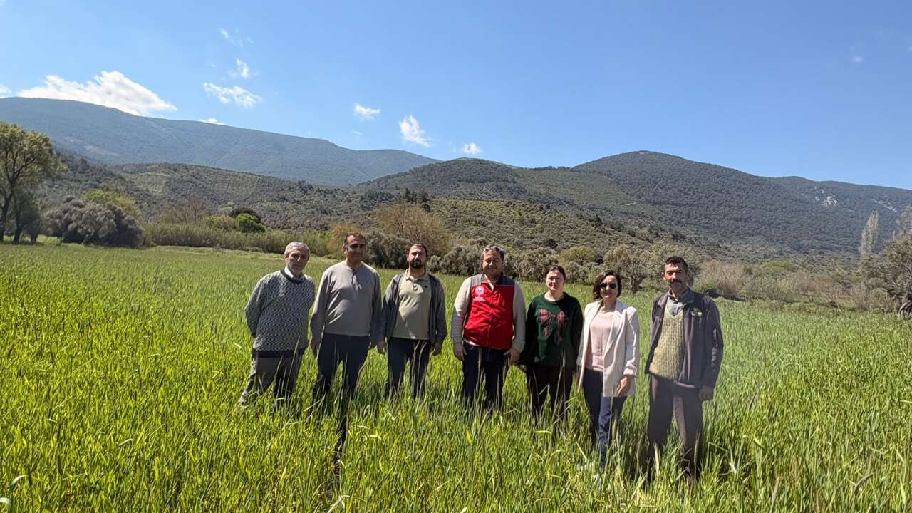 Muğla’da Yem Bitkileri Kontrolleri Gerçekleştirildi