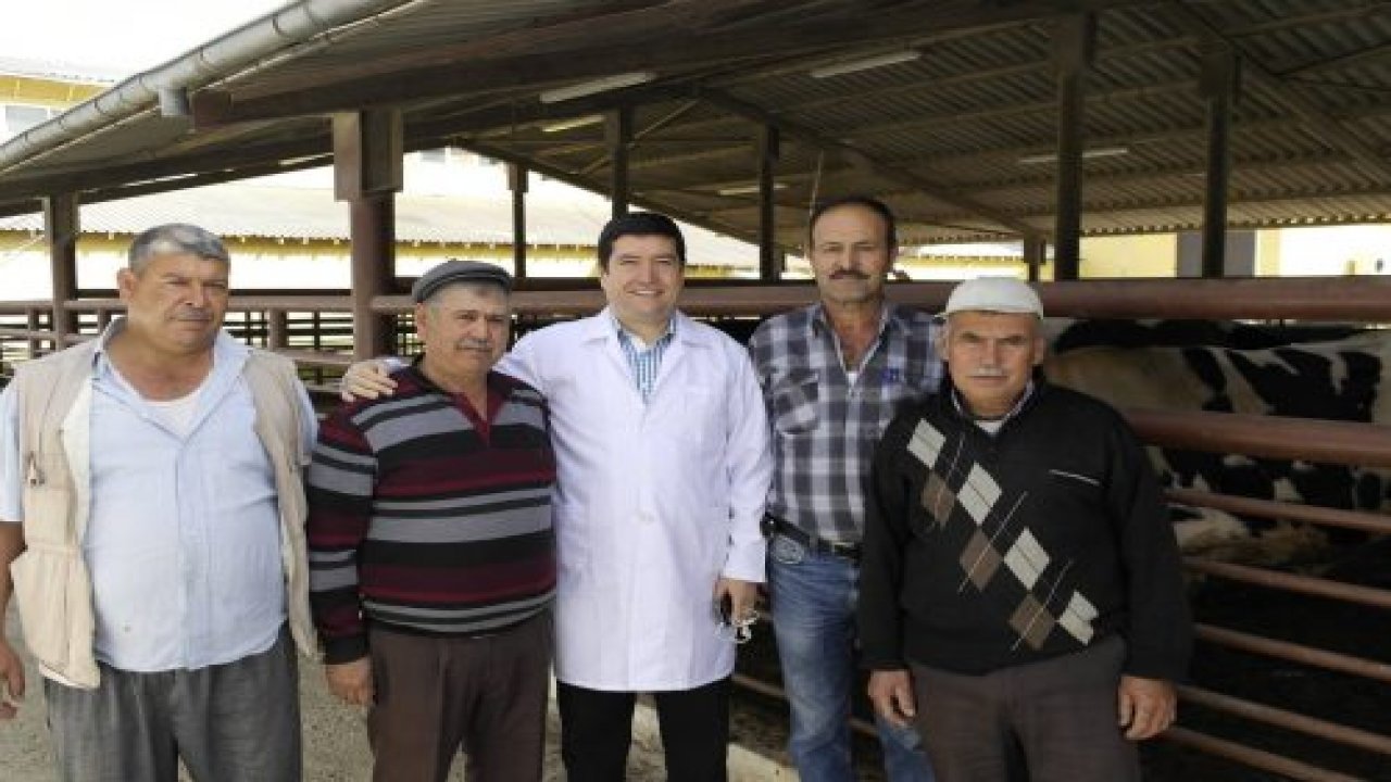 Saylak'tan şarbon açıklaması