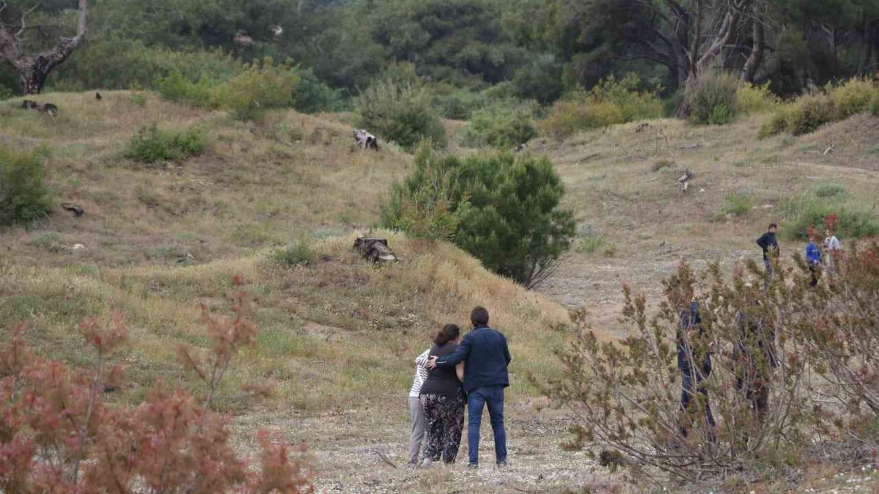 Şüpheli Ölüm: Ormanlık Alanda Cansız Beden Bulundu