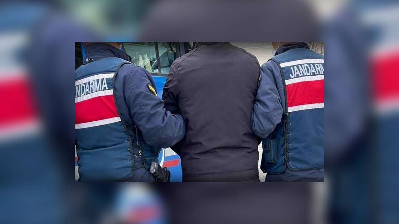 Muğla'da Bir Şahıs  Köpeğe C*nsel Sald*rı İddiasıyla Tutuklandı