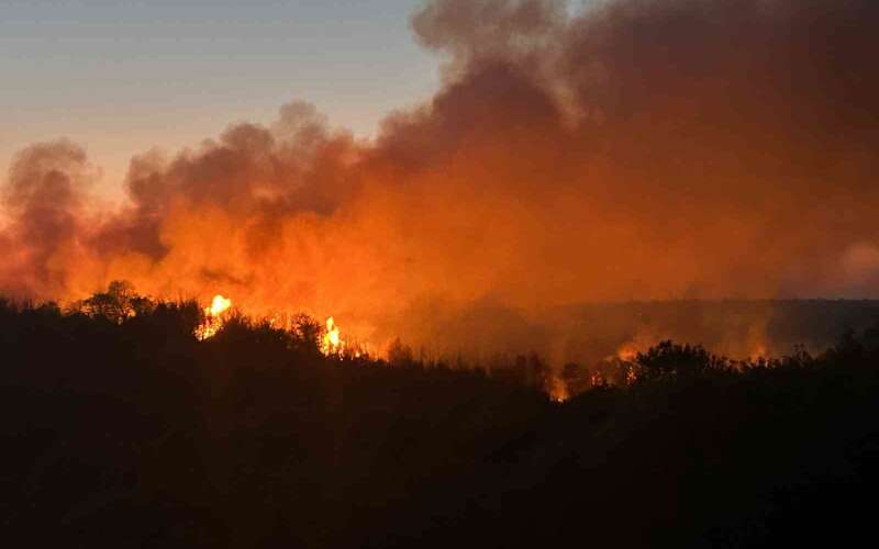 Kontrol Altına Alınmıştı, Orman Yangını Yeniden Alevlendi