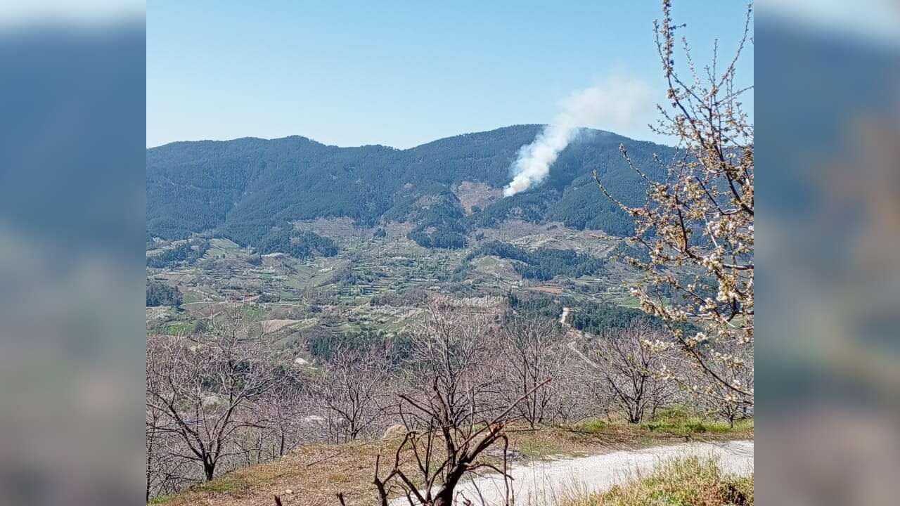 Aydın’da Orman Yangını Başladı