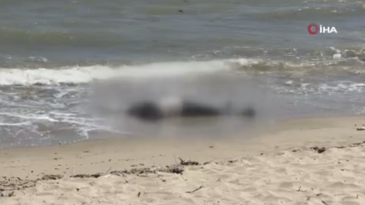 Yürüyüş Yapan Vatandaşlar Sahilde Erkek C*sedi Buldu