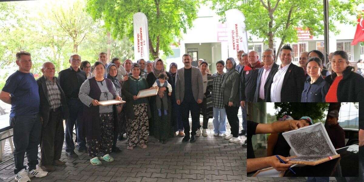 Muğla’da İpekböcekçiliğine Destek: 98 Üreticiye Larva Dağıtıldı