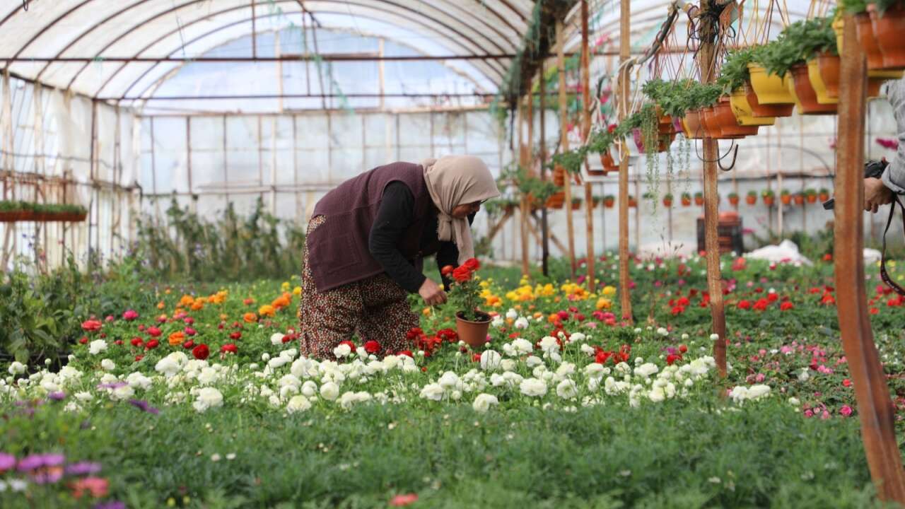 Muğla Büyükşehir’den Kadınlara Yönelik Yeni Meclis Projesi