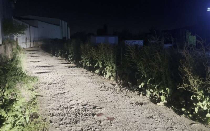 Ablasının Davasını Savundu: Genç Avukat Cinayete Kurban Gitti