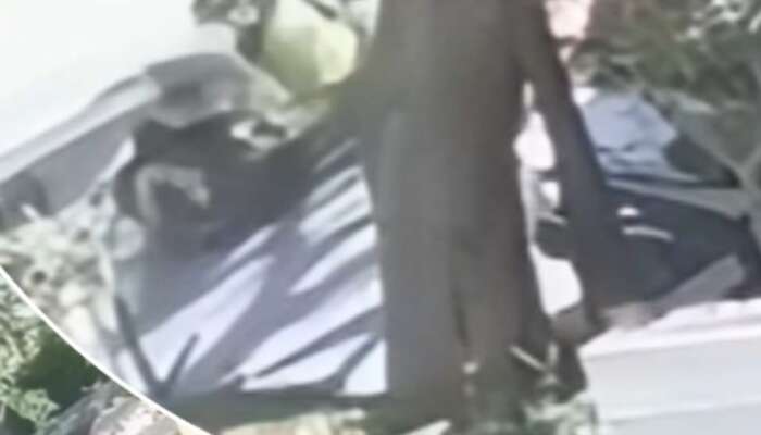 Muğla’da Akılalmaz Kaza: Havada Uçuşan Misine İpi Sürücüyü Yaraladı