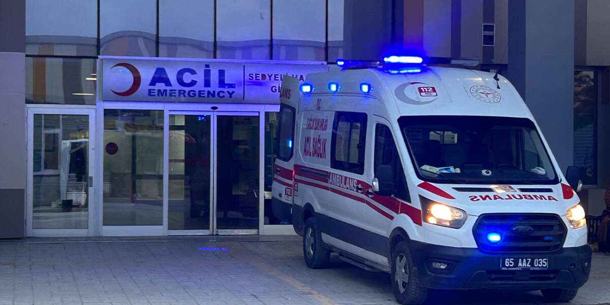 Daha 5 Yaşındaydı: Köpek Saldırısında Yaşamını Yitirdi