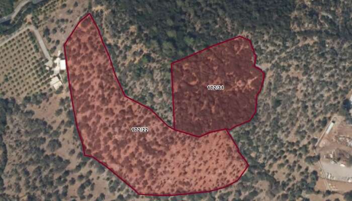 Kültür ve Turizm Bakanlığı’ndan Dev Turizm Hamlesi: Bodrum ve Antalya'daki Denize Sıfır Araziler Yatırımcıların Gözdesi Olacak