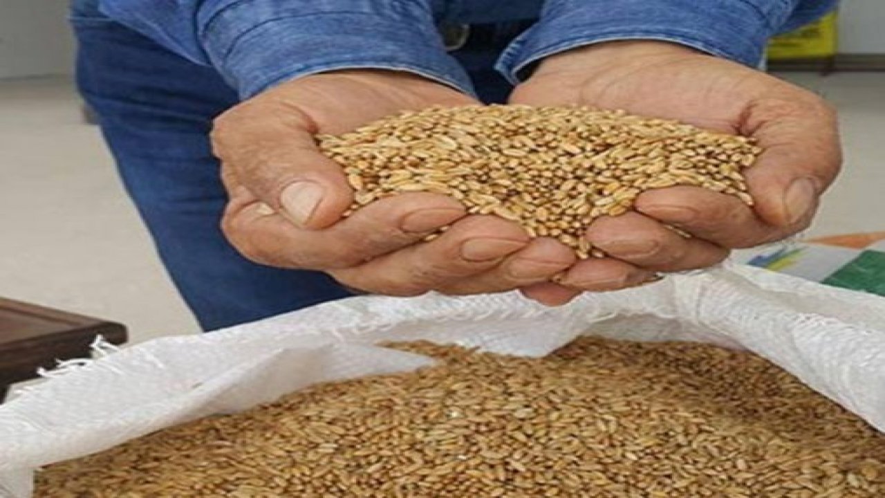 TMO'dan buğday açıklaması