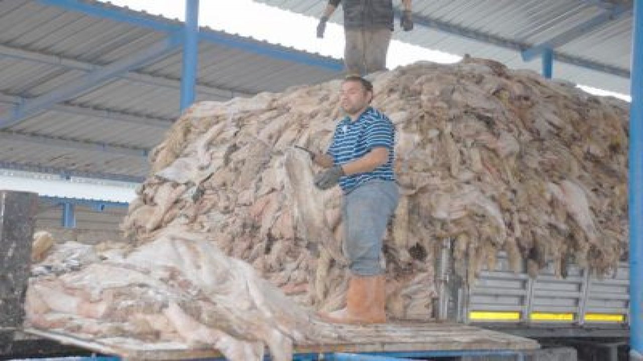 Milas THK 9 bin deri topladı