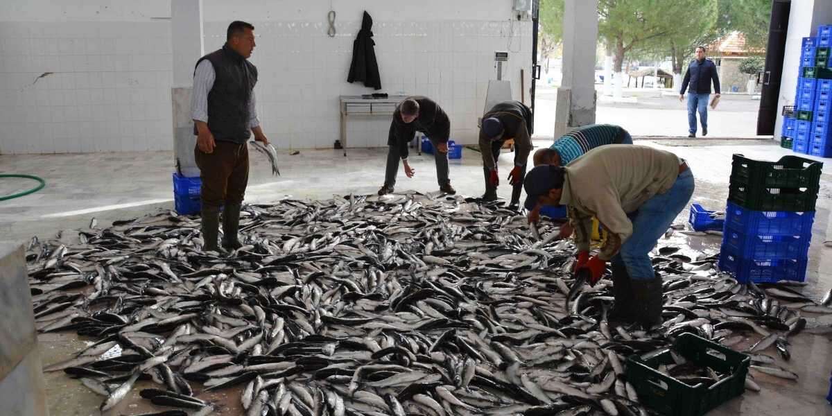 Muğla İhracatta Ege’nin 4’üncü İli Oldu