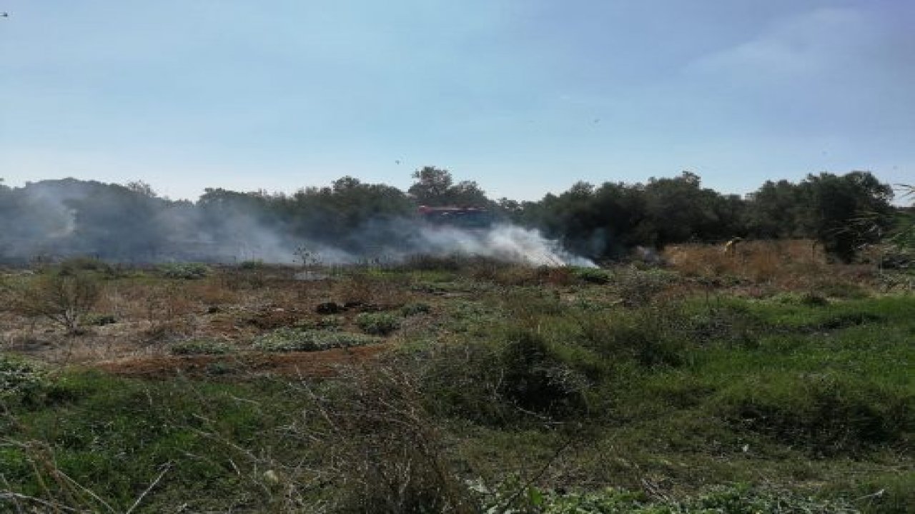 Milas'ta makilik yangını