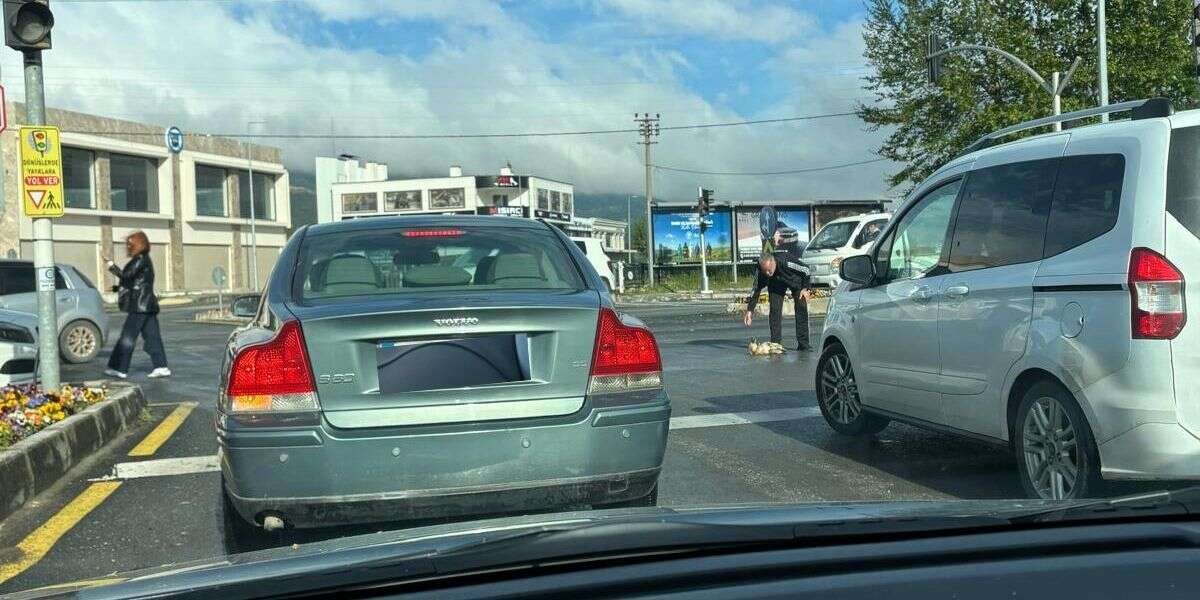 Menteşe Sanayide  Yaralı Köpeği Duyarlı Vatandaşlar Kurtardı