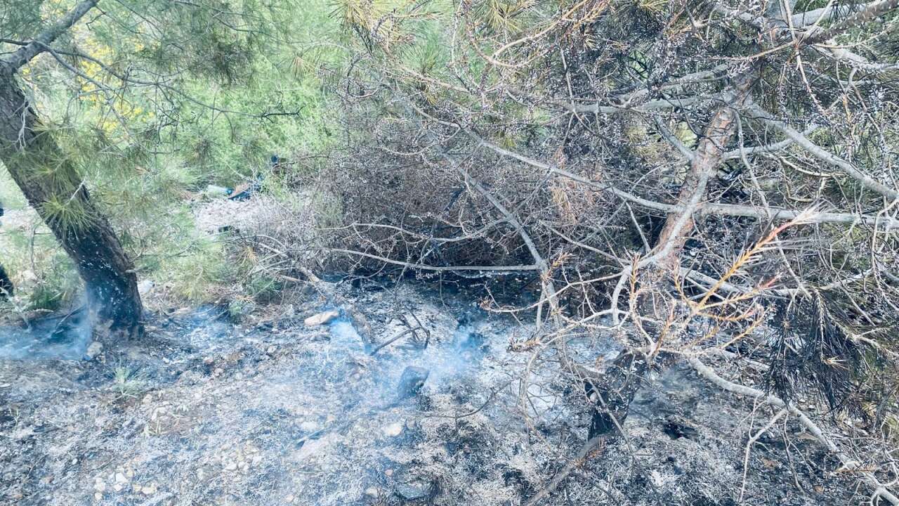 Milas'ta Ağaçlık Alanda Yangın Paniği