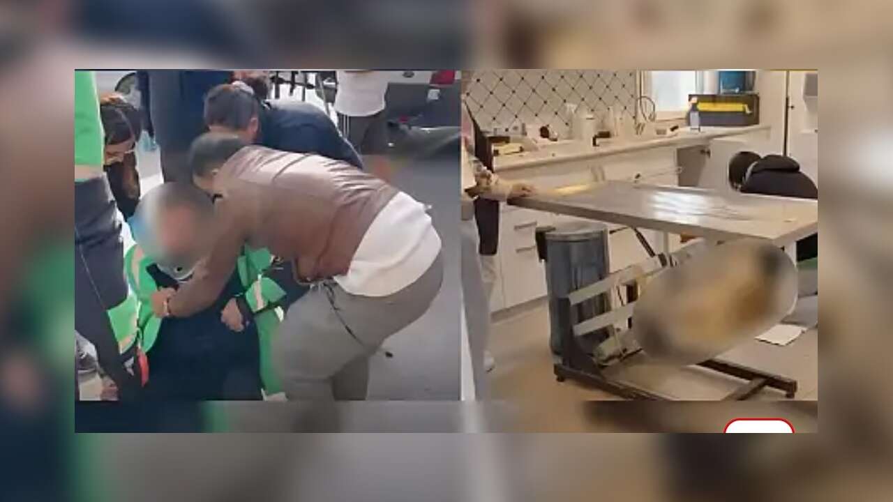 Bodrum’da Motosikletin Çarptığı Köpek Hayatını Kaybetti