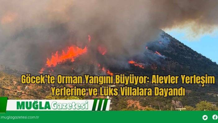 Göcek'te Orman Yangını Büyüyor: Alevler Yerleşim Yerlerine ve Lüks Villalara Dayandı