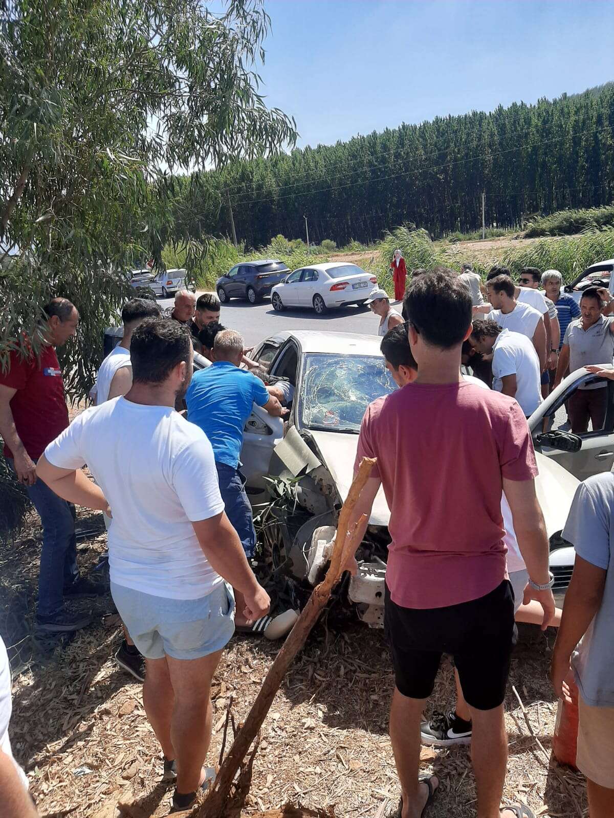 whatsapp-image-2025-09-10-at-14-41-02-1