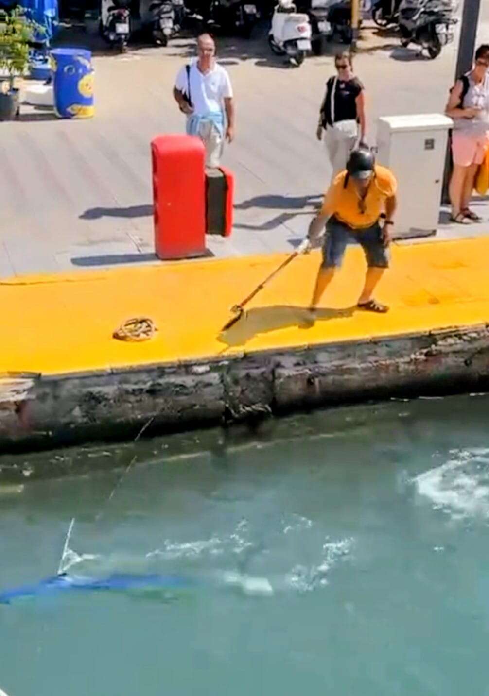 whatsapp-image-2025-09-10-at-16-53-33