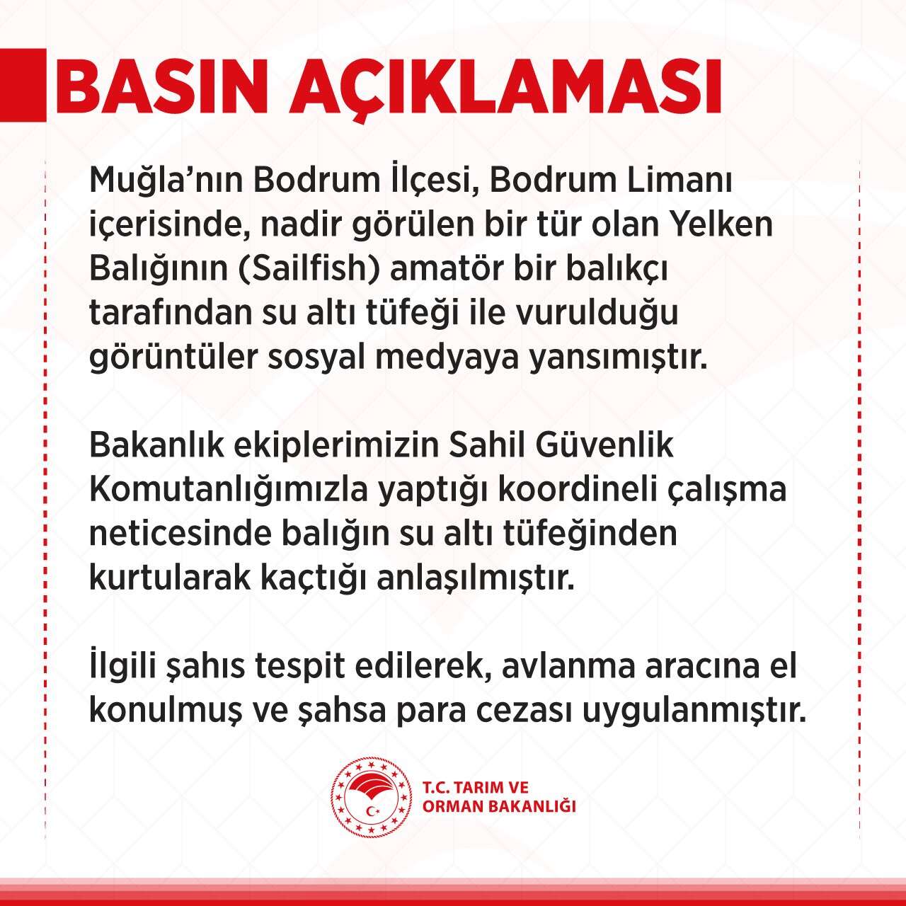 whatsapp-image-2025-09-11-at-10-26-39-1