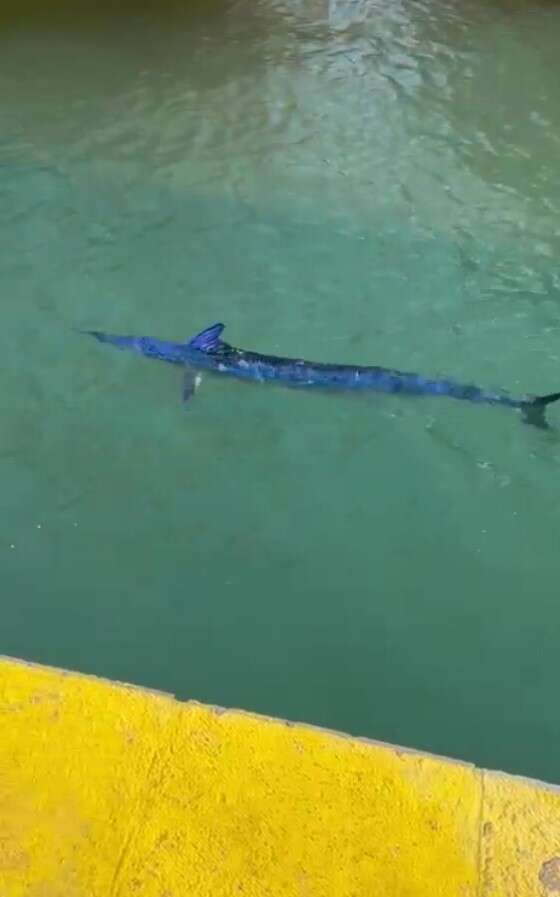 whatsapp-image-2025-09-11-at-10-26-39