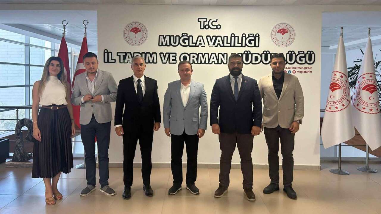 whatsapp-image-2025-09-11-at-11-17-20