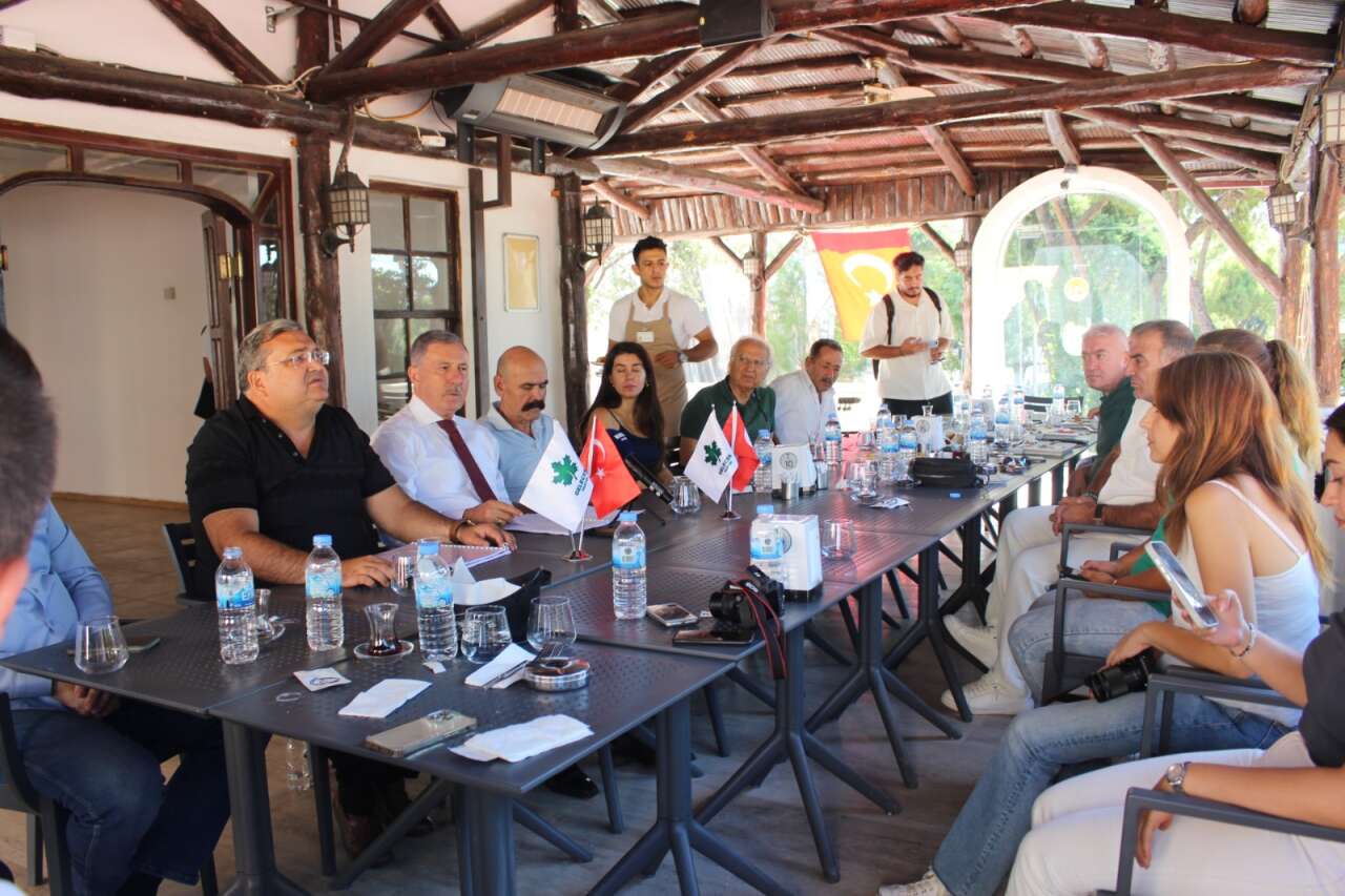 whatsapp-image-2025-09-11-at-13-09-04-2