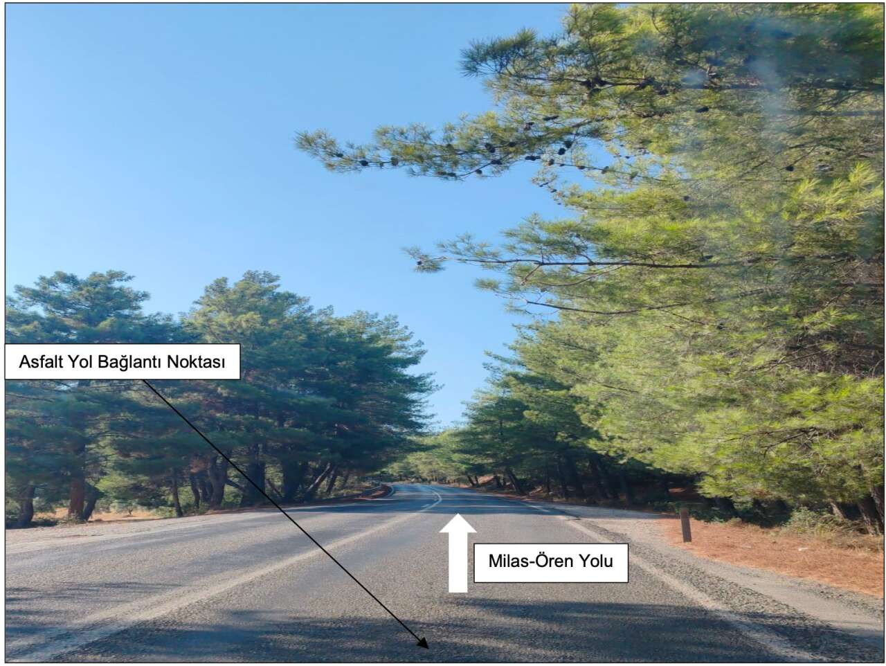 whatsapp-image-2025-09-11-at-15-46-52