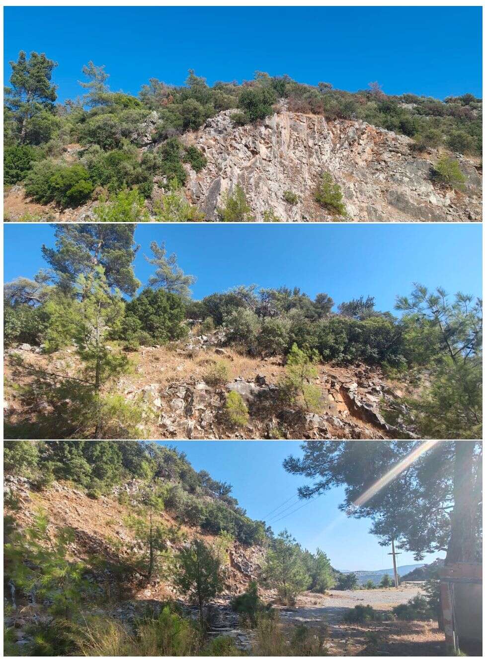 whatsapp-image-2025-09-11-at-15-46-54-1