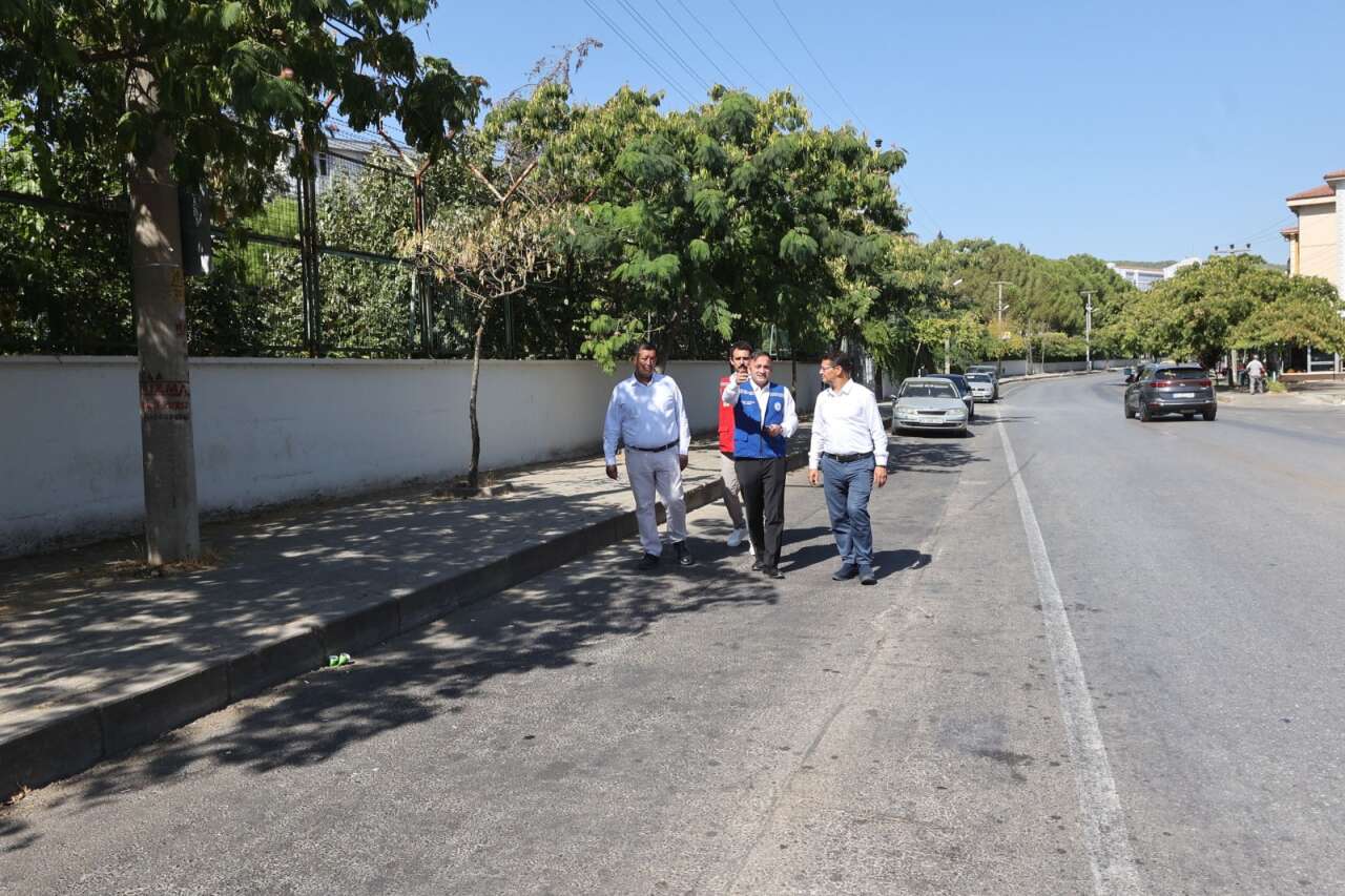 whatsapp-image-2025-09-12-at-14-32-15