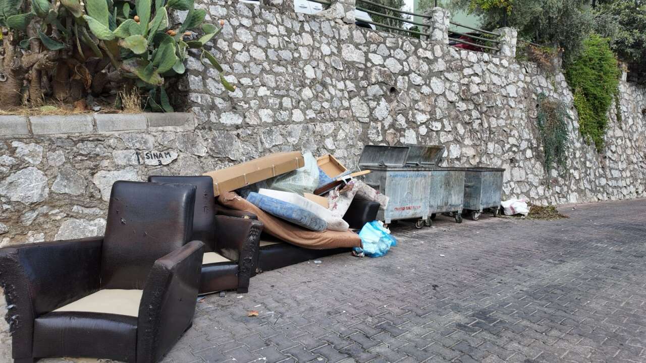 whatsapp-image-2025-09-12-at-16-49-25-1